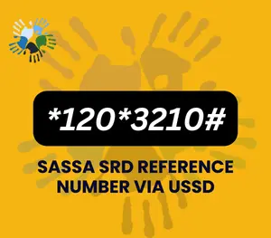 sassa application id check